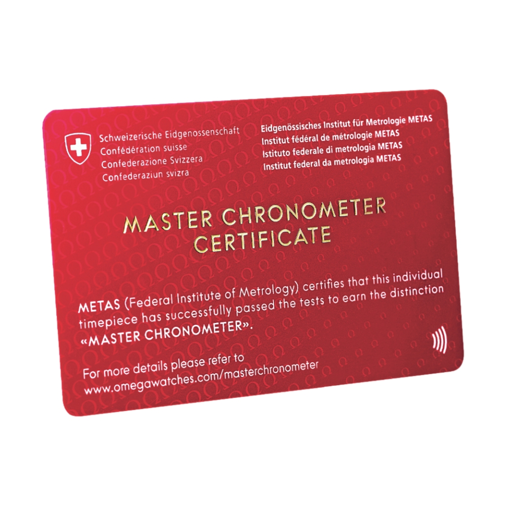 OMEGA Seamaster Aqua Terra 150M 38mm - Silver on Bracelet